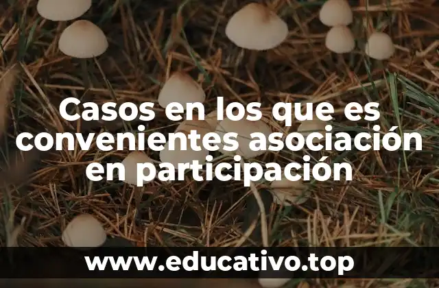 Casos en los que es convenientes asociación en participación