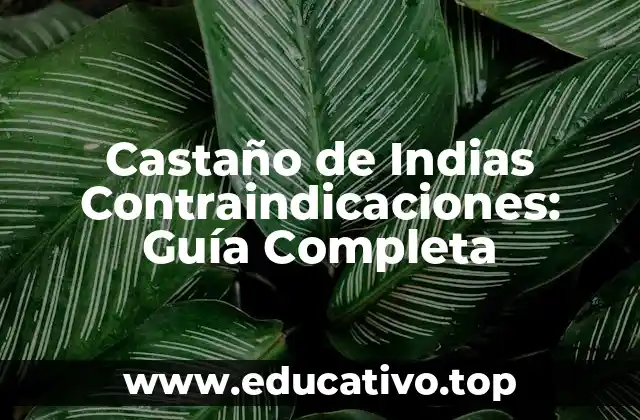 Castaño de Indias Contraindicaciones: Guía Completa