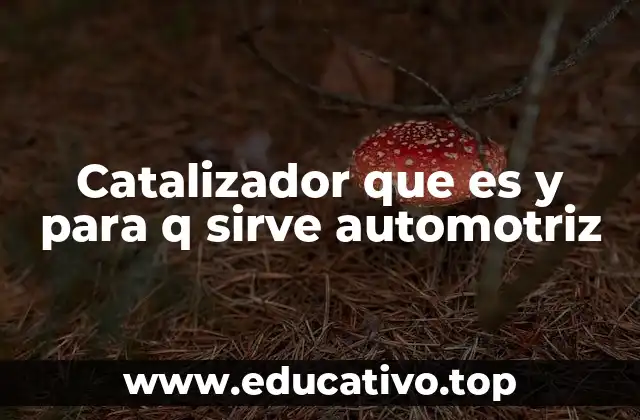 Catalizador que es y para q sirve automotriz
