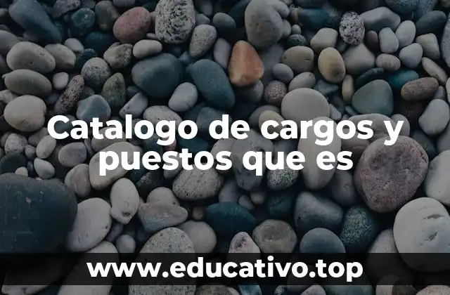 Catalogo de cargos y puestos que es