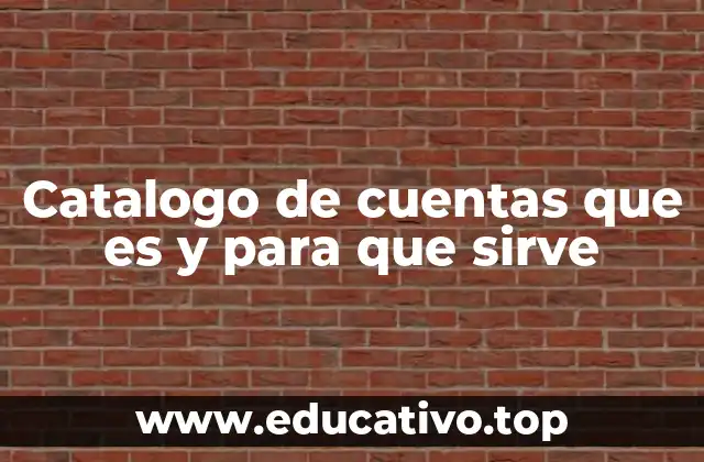 Catalogo de cuentas que es y para que sirve