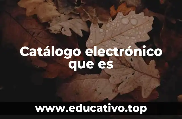 Catálogo electrónico que es