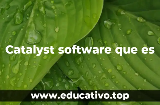 Catalyst software que es
