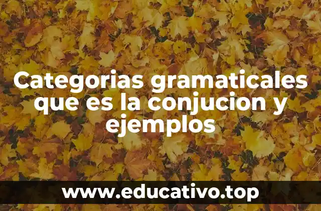 Categorias gramaticales que es la conjucion y ejemplos