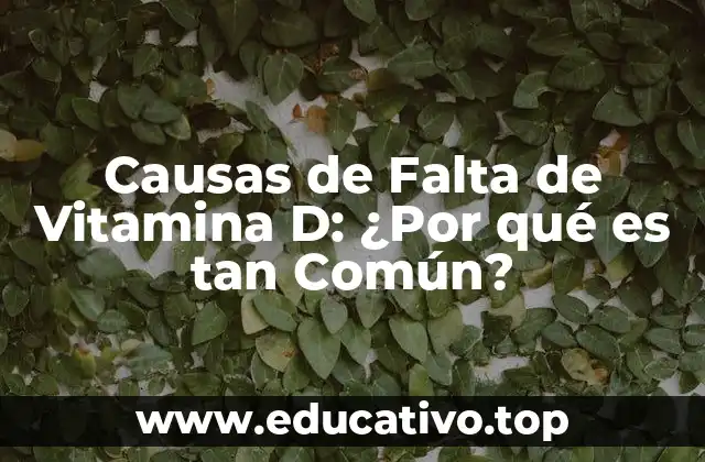 Causas de Falta de Vitamina D: ¿Por qué es tan Común?