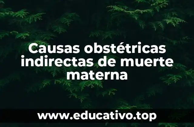 Causas obstétricas indirectas de muerte materna