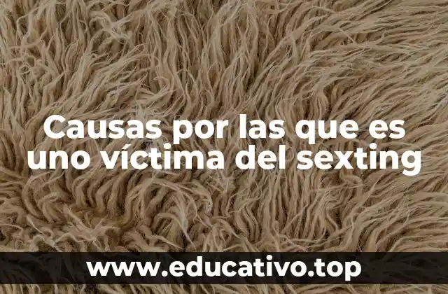 Causas por las que es uno víctima del sexting