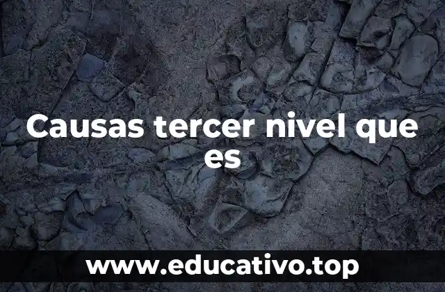 Causas tercer nivel que es