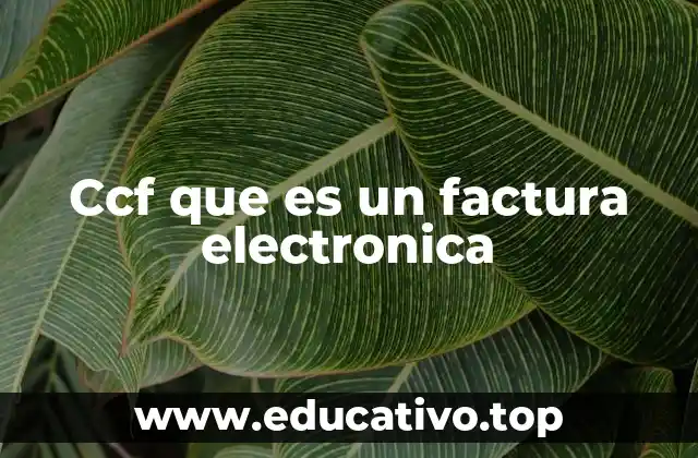 Ccf que es un factura electronica