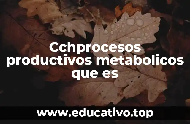 Cchprocesos productivos metabolicos que es