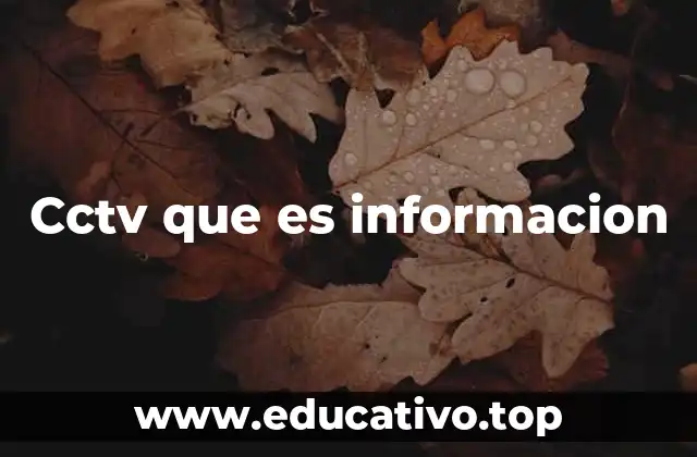 Cctv que es informacion
