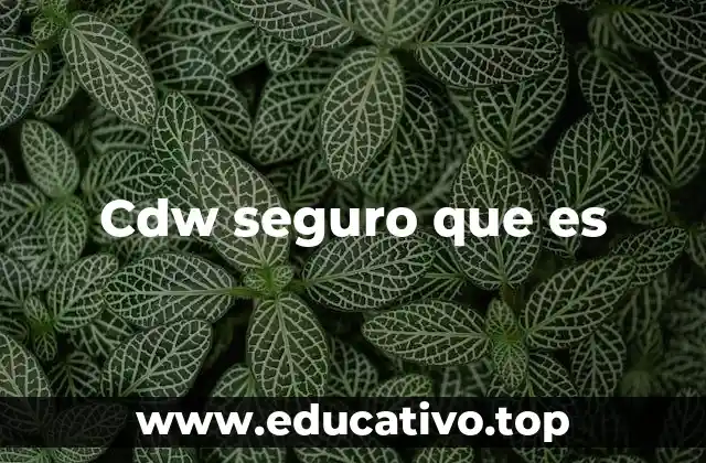 Cdw seguro que es