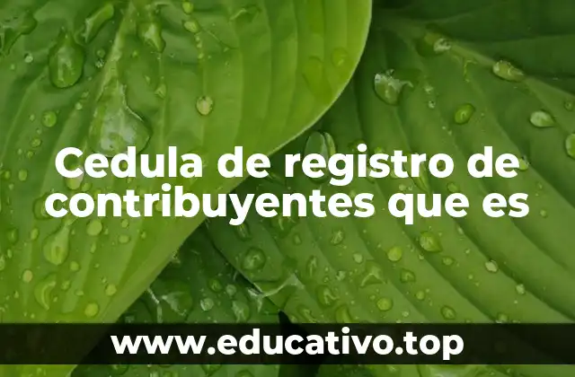 Cedula de registro de contribuyentes que es