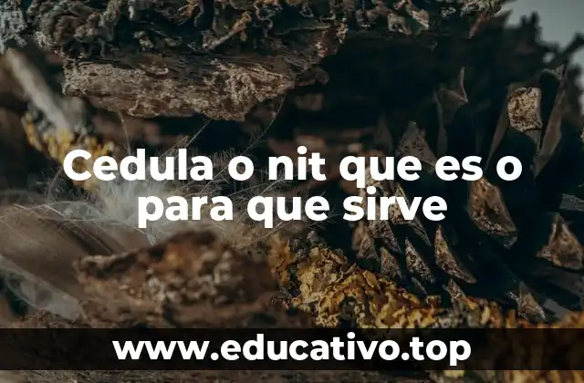 Cedula o nit que es o para que sirve