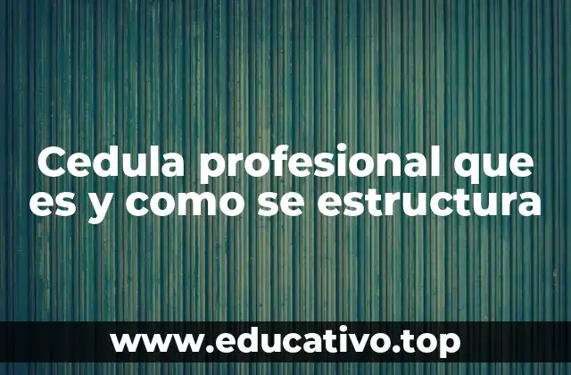 Cedula profesional que es y como se estructura