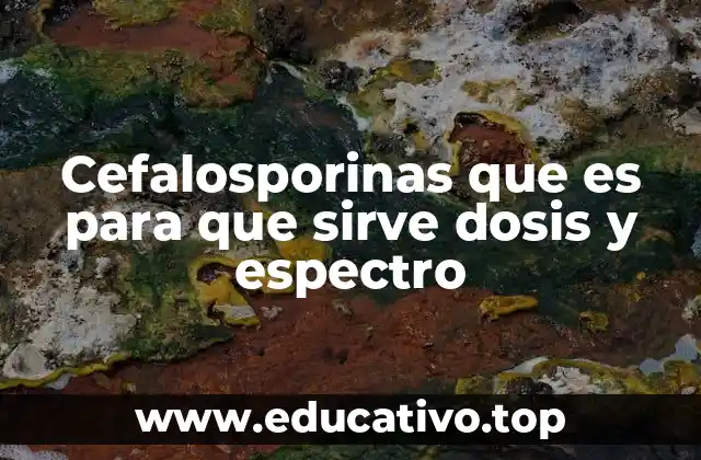 Cefalosporinas que es para que sirve dosis y espectro