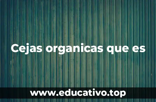 Cejas organicas que es
