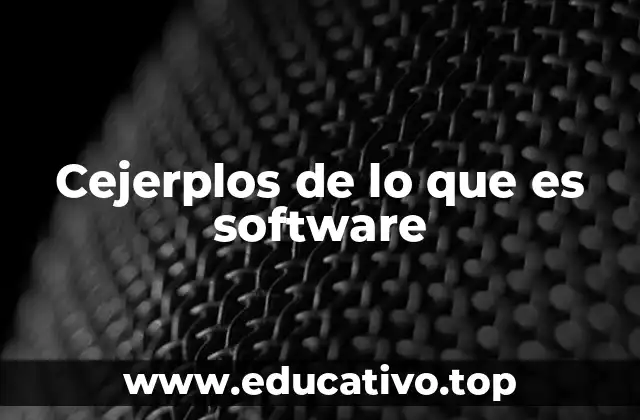 Cejerplos de lo que es software
