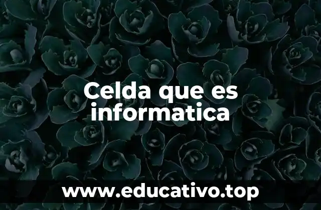 Celda que es informatica