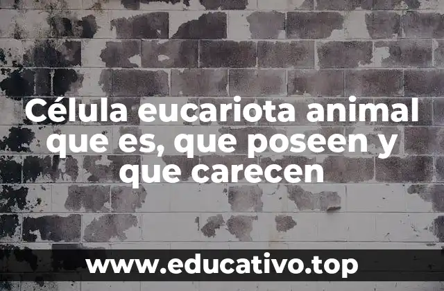 Célula eucariota animal que es, que poseen y que carecen
