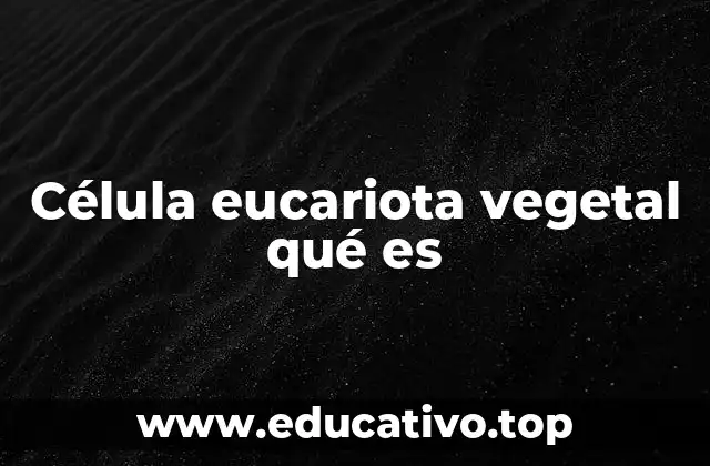 Célula eucariota vegetal qué es