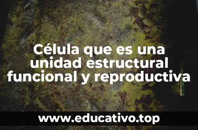 Célula que es una unidad estructural funcional y reproductiva