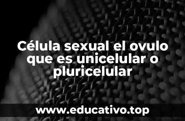 Célula sexual el ovulo que es unicelular o pluricelular
