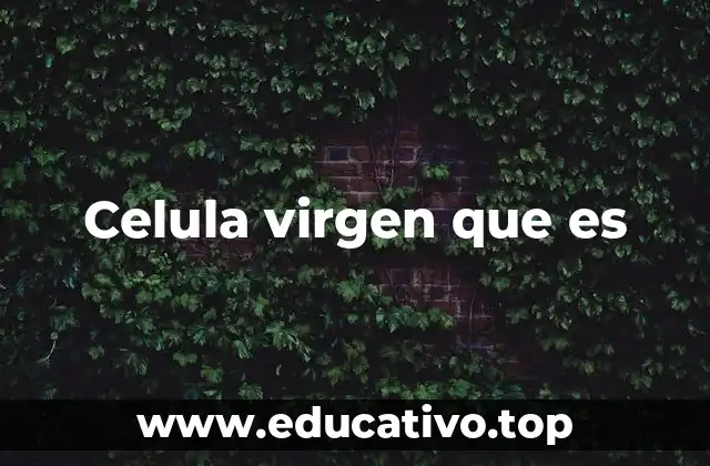 Celula virgen que es