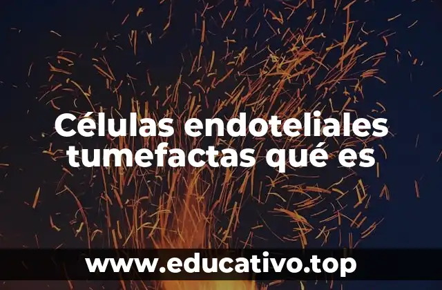 Células endoteliales tumefactas qué es