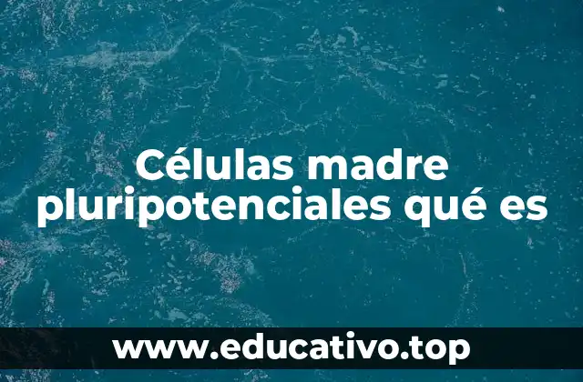 Células madre pluripotenciales qué es