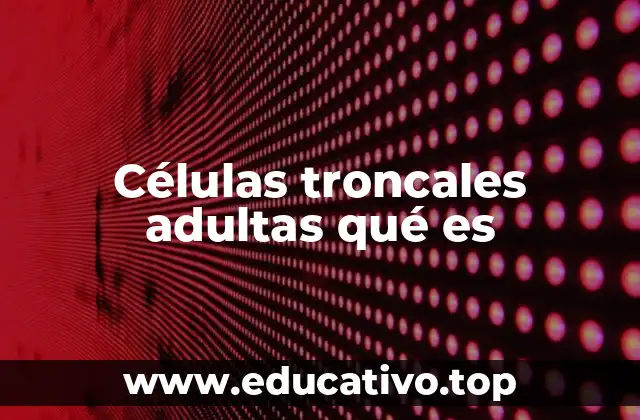 Células troncales adultas qué es