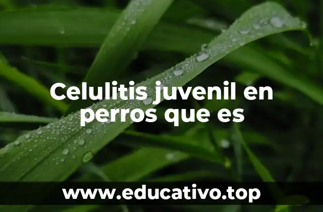 Celulitis juvenil en perros que es