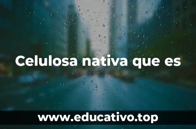 Celulosa nativa que es