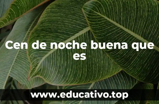 Cen de noche buena que es