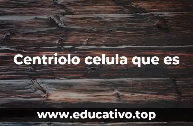 Centriolo celula que es