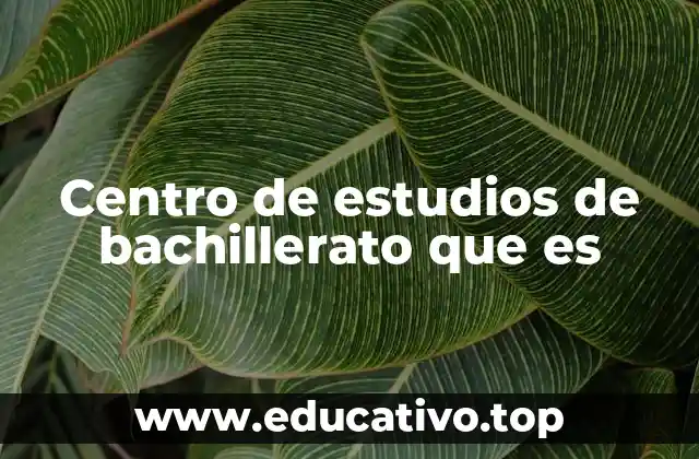 Centro de estudios de bachillerato que es