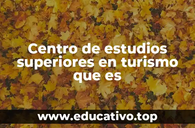 Centro de estudios superiores en turismo que es