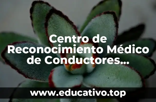 Centro de Reconocimiento Médico de Conductores Inmaculada – Certificación para Conductores