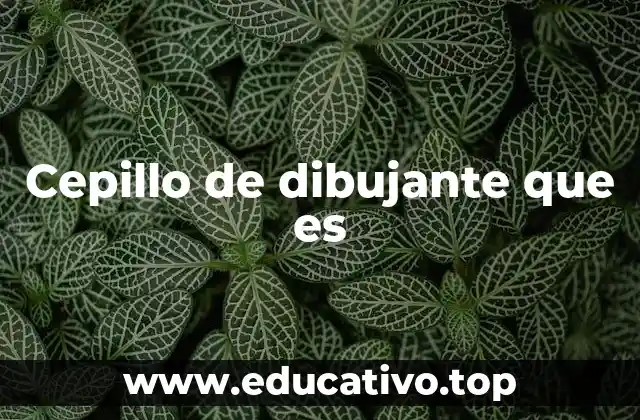 Cepillo de dibujante que es