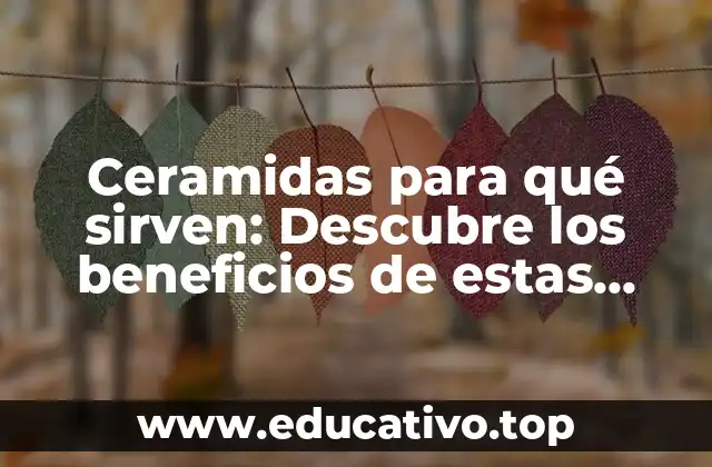 Ceramidas para qué sirven: Descubre los beneficios de estas moléculas milagrosas