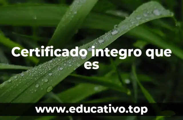 Certificado integro que es