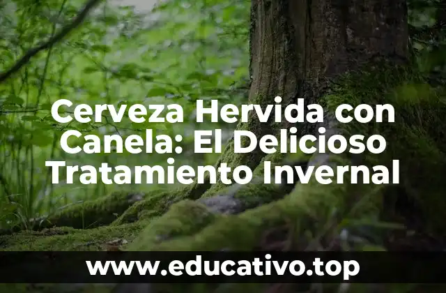 Cerveza Hervida con Canela: El Delicioso Tratamiento Invernal