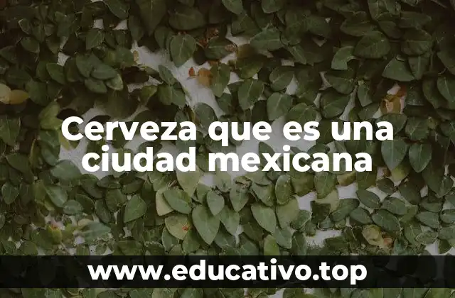 Cerveza que es una ciudad mexicana
