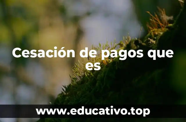 Cesación de pagos que es