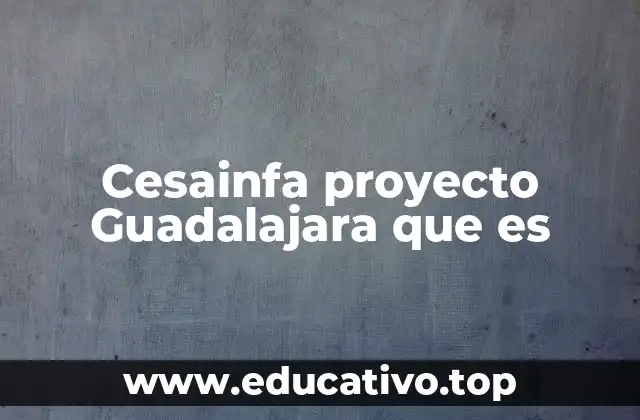 Cesainfa proyecto Guadalajara que es