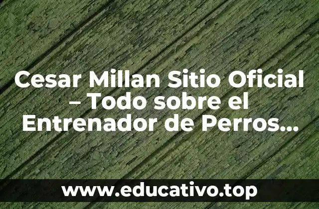 Cesar Millan Sitio Oficial – Todo sobre el Entrenador de Perros más Famoso