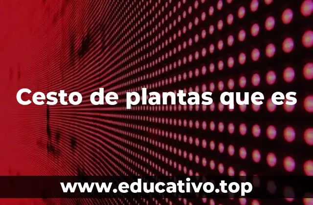 Cesto de plantas que es