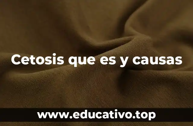Cetosis que es y causas