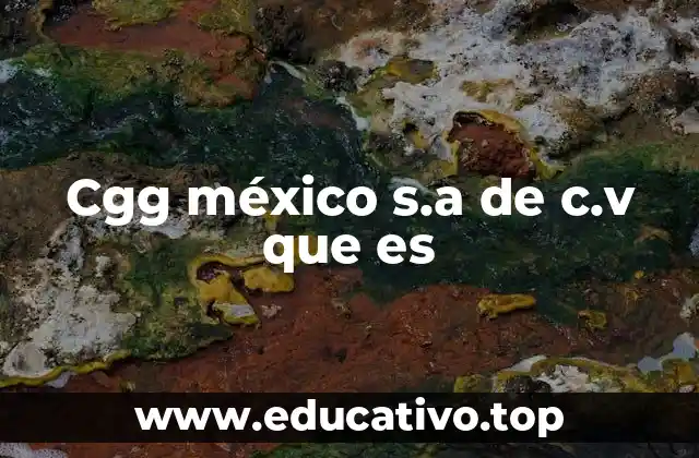 Cgg méxico s.a de c.v que es