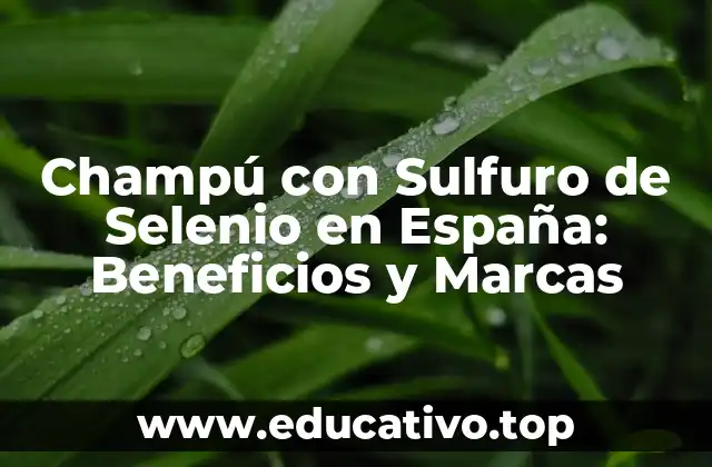 Champú con Sulfuro de Selenio en España: Beneficios y Marcas